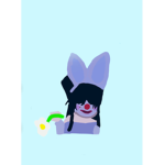 ash’s daisy