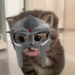 lugermeow