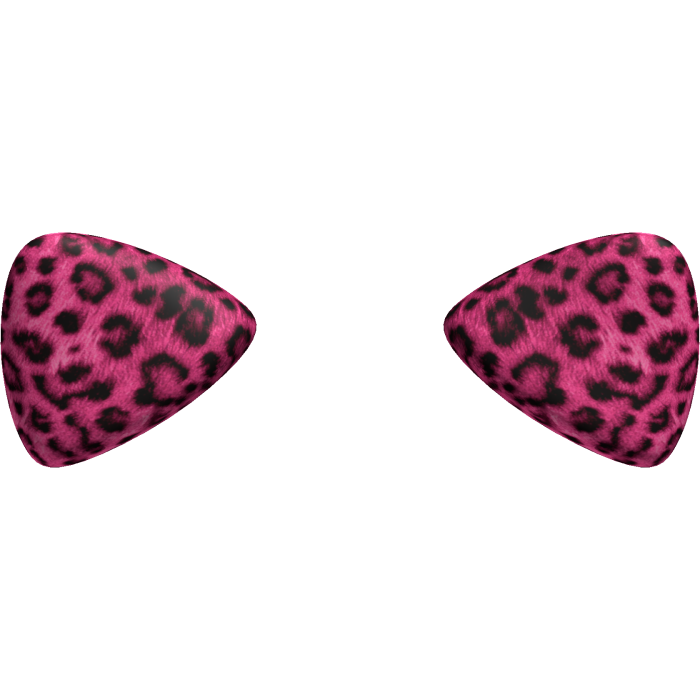 Hot Pink Leopard Kitty Cat Ears