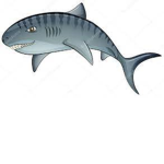 TigerSharkSqaud