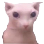 ꜱᴀʙʀɪɴᴀꜱ ꜰᴀɴ ɢʀᴏᴜᴘ