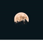 MT | Moonlight Therapy