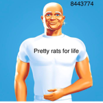 Pretty rats for life