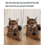 CATSOCIETY!