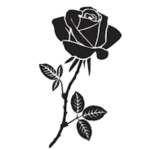 [Ro-Ghoul] Black Roses