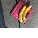 fruit only