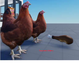 Eat kfc infront of chickens