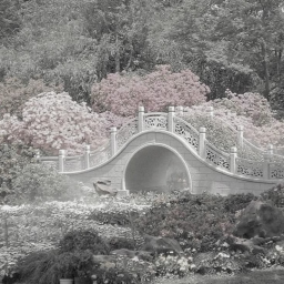۶ৎ