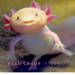 The axolotl cult!!!