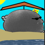 sussy seals!