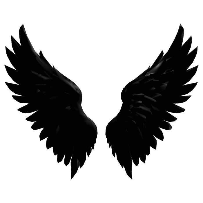 Black Angel Wings