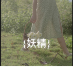 {フェイ}