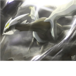 The pokemon explorers