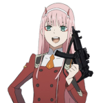 DZ Assassins