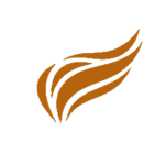 FlyZesta