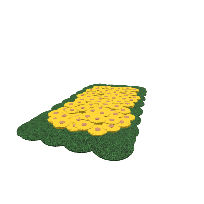 Bed Of Flowers
