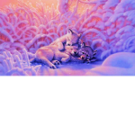 Galaxy Wolf Zone