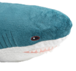Shark_Clothing_Shop