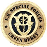 THE USSF FORCES (alpha)