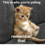 The Furry Kittens