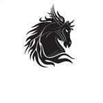 The Black Stallions