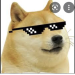 Doge club squad
