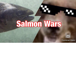 Salmon Wars (Group Edition)