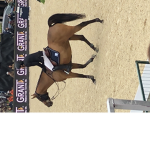 Equestrian!