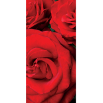 LucidRoses