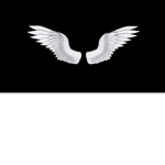 Angel shots