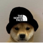 animal beaters