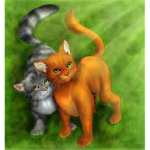 Fateclan {Warrior Cats Clan RP}