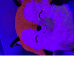 FatFox
