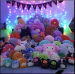 ~• Squishmallow obsessors •