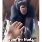The Mad Monke’s
