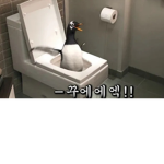 핑계돼지마TV