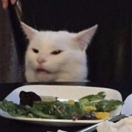 meme cat Roblox decal