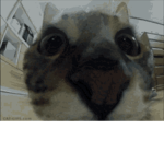 AbyssalZone