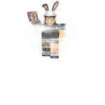 SZJStudios