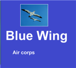 The Blue Wing Air Corps