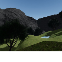 Forest Haven Hangout