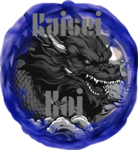 Kaisei kei karate