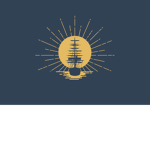 American Naval Fleet