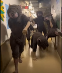 Sewer rats the great sewer