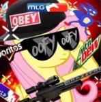 p_l