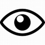 The White Eye Incorporated
