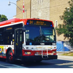Westward Transit System's