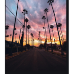 Sunset Queens
