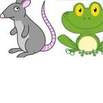 Frogs and Rats Unite
