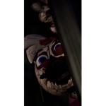Shattered chica group